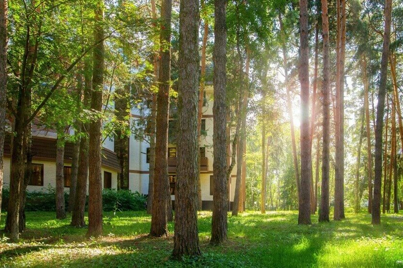 Санаторий Елочки